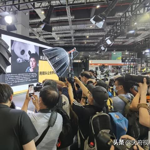 生活与知识经验的融合，如何撰写引人入胜的文章