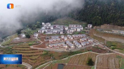 府谷县的骄傲，田小宁的奋斗与成就