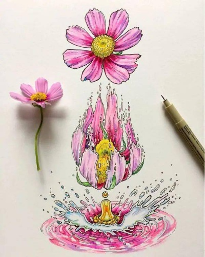 生活之美，绘画图片大全，简单之美的无限魅力