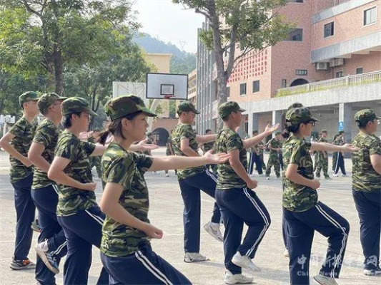 高中生活，青春的试炼与成长